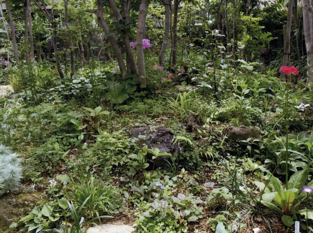 庭一面の山野草が見せる自然の景 深谷オープンガーデン花仲間